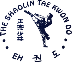 Shaolin TKD